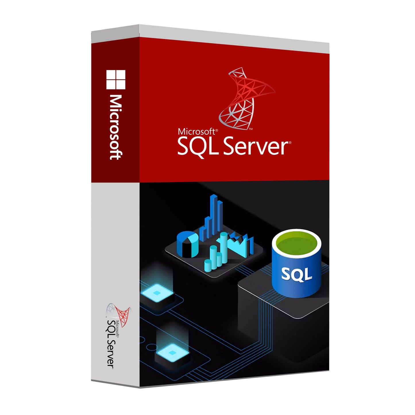 Microsoft SQL Server Standard Edition
